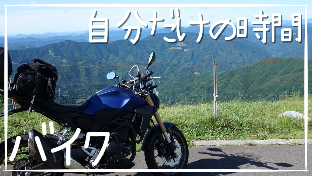 21年現在のモトブログの伸ばし方を考える Zetalog