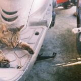 バイク乗るのめんどう問題、次のバイクに乗り換えるしか方法なくない？バッテリーは基準になる