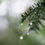雨の日バイク、実はめっちゃ楽しいって知ってた？