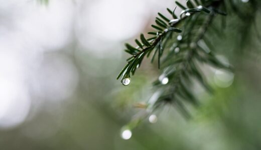 雨の日バイク、実はめっちゃ楽しいって知ってた？