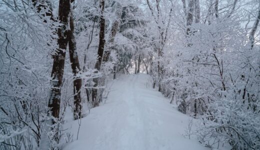 【カブ主必見】郵便屋さんが選ぶ「雪に負けないタイヤ」はこれだ！IRC/BS/DL比較